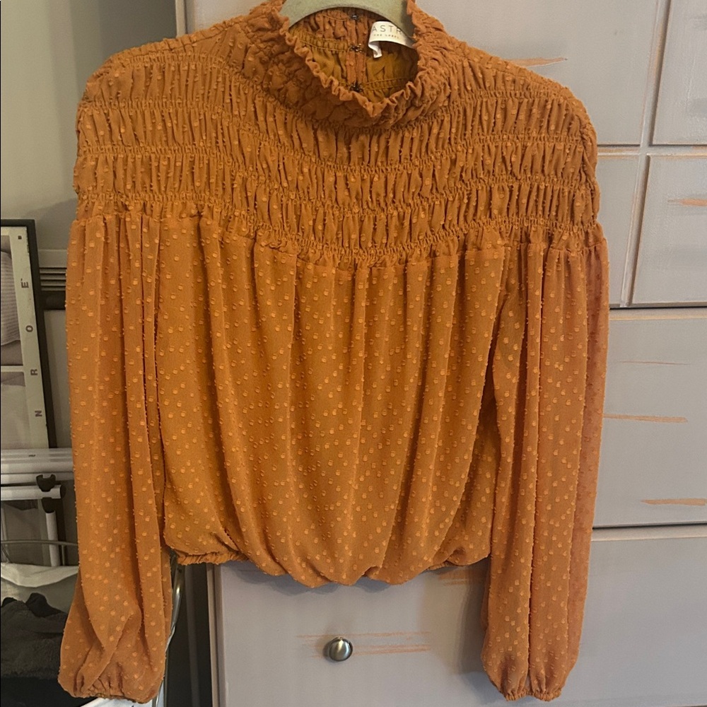 Astr Terracotta Top